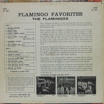 LP-307 - Flamingo Favorites Back Cover